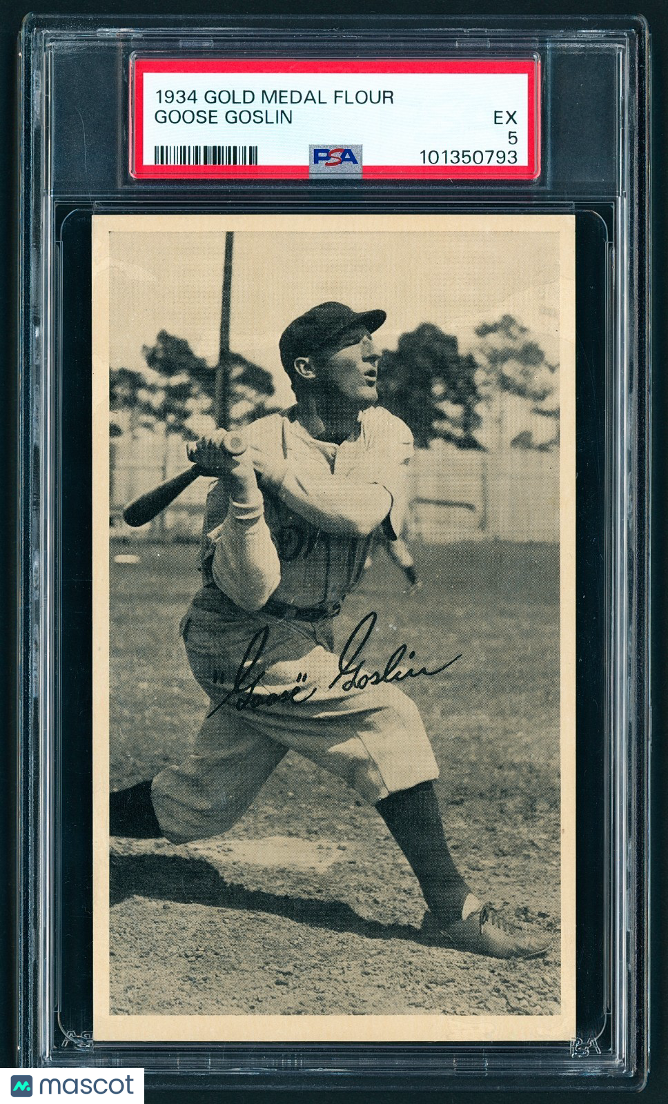 1934 R313A Gold Medal Flour - Goose Goslin HOF - PSA 5 Stunning Example