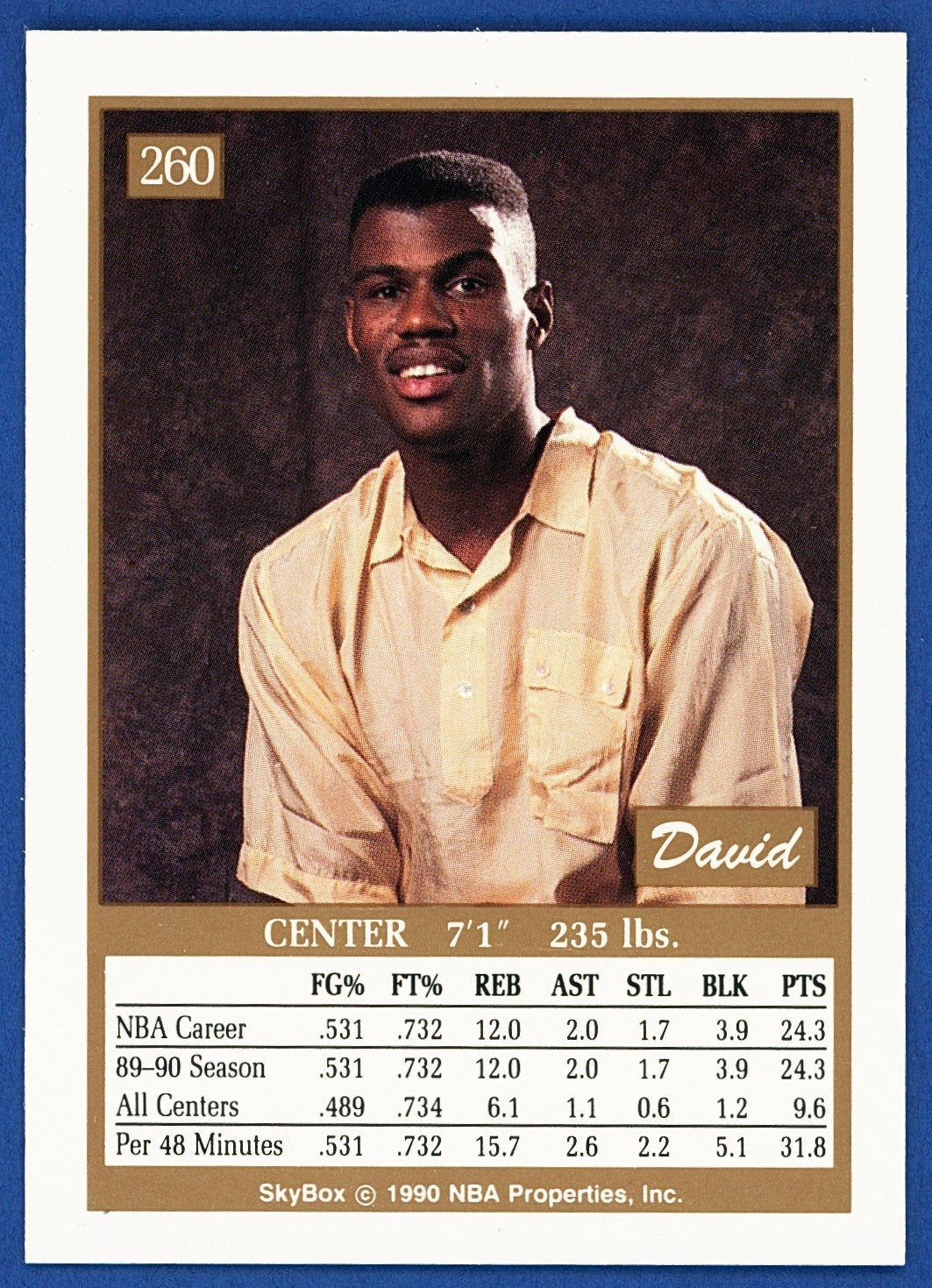 1990 Skybox #260 David Robinson (HOF)